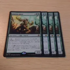 強靭形態の調和者 4枚