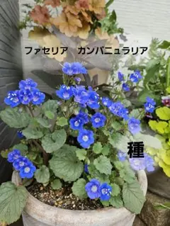 takU様 リクエスト 3点 まとめ商品