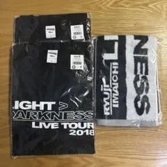 RYUJI IMAICHI LIVE 2018 Tシャツ タオル 今市隆二のサムネイル