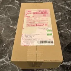 【新品未開封】ポケモンセンターフクオカ スペシャルBOX