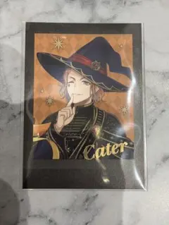 ツイステ　ケイト　ぱしゃこれ　ブルームバースデー　箔押し