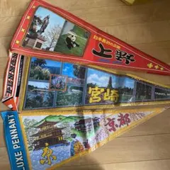 Item thumbnail for item b792ed5b-04b7-4245-83e6-decfb024799b