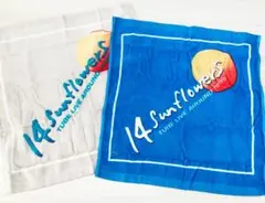 Item thumbnail for item 3d589dcb-90b8-486d-8d69-cef810356938