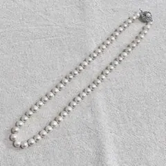 Item thumbnail for item f4477e9a-47b8-4e21-9ba8-acaa3716e9d0