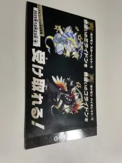 ポケットモンスター　色違いミライドン　カード