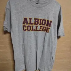 ALBION COLLEGE Tシャツ グレー Gildan
