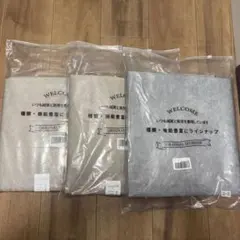 Item thumbnail for item d5821db6-833f-4627-8c4e-512b4ec3ea9f