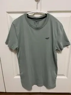 Hollister メンズ Tシャツ グリーン XS