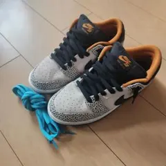 Nike SB Dunk Low Pro Electric Safari