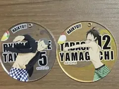 ハイキュー 水着 アクリル キーホルダー アクキー 烏野 まとめ売り