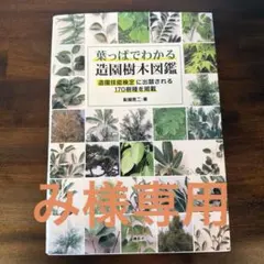 新品　葉っぱでわかる造園樹木図鑑 造園技能検定に出題される170樹種を掲載のサムネイル
