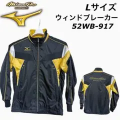 Item thumbnail for item ddb0a930-f049-4494-b971-6f868739ae2c