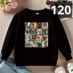 イタリアンブレインロット　裏起毛トレーナー　120サイズ　b5