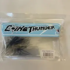 Item thumbnail for item 63bbde78-bfe0-47e8-9baa-28673b28318f