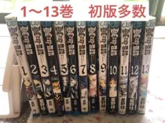 【初版、帯付き多数】ディー・グレイマン D.Gray-man Dグレ
