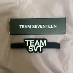 2026年最新】seventeenペンライトアクセサリーの人気アイテム - メルカリ