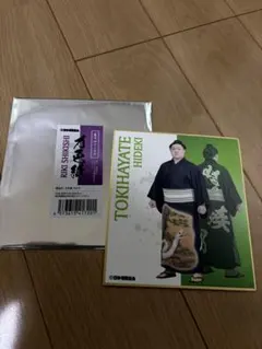 Item thumbnail for item aefa3581-ea7e-40f6-8e52-3393b6b3fe8c