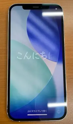 ア*ラ様 動作確認済み iPhone 12 Pro 256GB ID:R8715