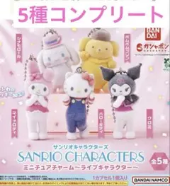 り*様 サンリオ みんなでうたおう! キャラクターソング - メルカリ