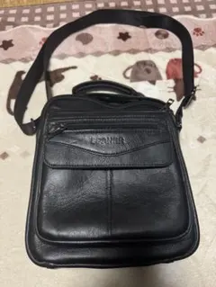 Item thumbnail for item caf566d5-961a-43a2-be37-f3b47a342024