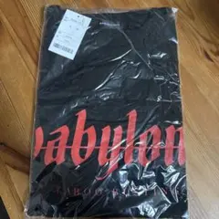 Item thumbnail for item 7ea40570-2c34-4dd1-a83f-5f05bb4cccaa