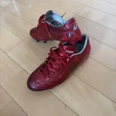 asics サッカースパイク　DS LIGHT X-FLY 4