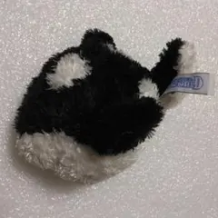 鴨川シーワールド　しゃち丸　ぬいぐるみ シャチ　魚　水族館　小さいぬいぐるみ