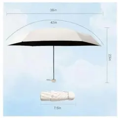 Item thumbnail for item 095c9633-b801-41e2-8183-6926ae159bc0