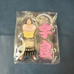 大相撲 めじるしアクセサリー 宇良