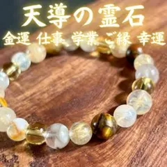 2025年最新】チョウピラコの人気アイテム - メルカリ