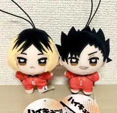 ハイキュー!! ぬいぷりけmini3 黒尾鉄朗 孤爪研磨 セット