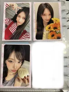 イソ　トレカ3枚セット