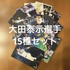 プロ野球チップスカード大田泰示選手15種まとめセット(キラ3種、ノーマル7種他)