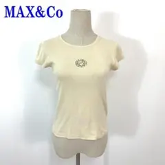 マックスアンドコー 半袖Tシャツ ベージュ コットン100％ S C4045のサムネイル