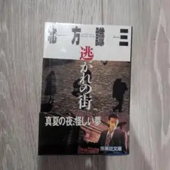 逃がれの街 北方謙三 集英社文庫
