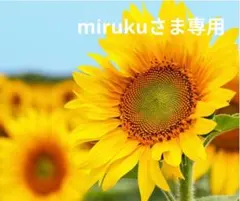 mirukuさま専用ページです。