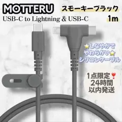 MOTTERU Type-C ライトニング 充電ケーブル スモーキーブラック