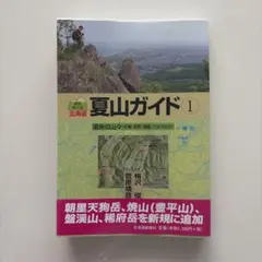 Item thumbnail for item 59ffd013-f937-4e71-a4a0-0be98efbc674