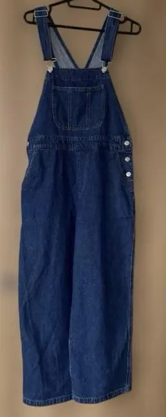 GUARANTEED HIGH QUALGTY デニムオーバーオール サロペット
