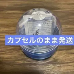 藤原丈一郎　なにわ男子のめじるしチャーム　2026 VoyAGE 1stDOME