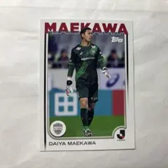 EXTRA ハセベ 長谷部誠 ボルフスブルク 日本 WCCF PANINI - メルカリ
