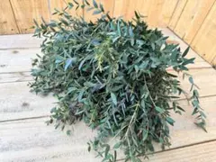 moko様 リクエスト 4点 まとめ商品