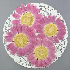 ちゃーくん♡複数割りリピーター様割り中❤様 リクエスト 2点 まとめ商品