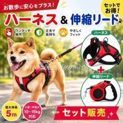 犬用 ハーネス 伸縮リード 5m セット レッド 赤 散歩 胴輪 M フック付のサムネイル