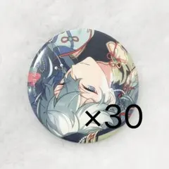 あんスタ 瀬名泉 2023 summer idol 缶バッジ イベコレ 30個