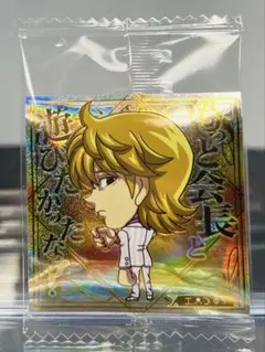 最新弾 ハンター×ハンター シール ウエハース 8弾 パリストン JR