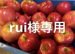 rui様専用ページです。