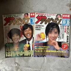ザ・テレビジョン 1995年38号 秋ドラマ特集号 - メルカリ