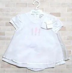 Item thumbnail for item ab0c3c57-a5cc-4c13-bba9-33a1fc5015e5