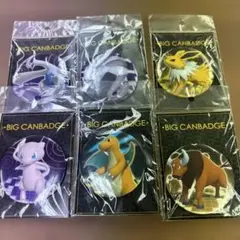 ポケモン BIG CANBADGE 6種セット